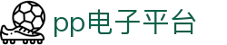 PP电子(中国大陆)官方网站